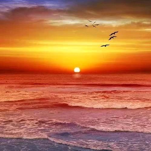 觉行（依赖的小女生）