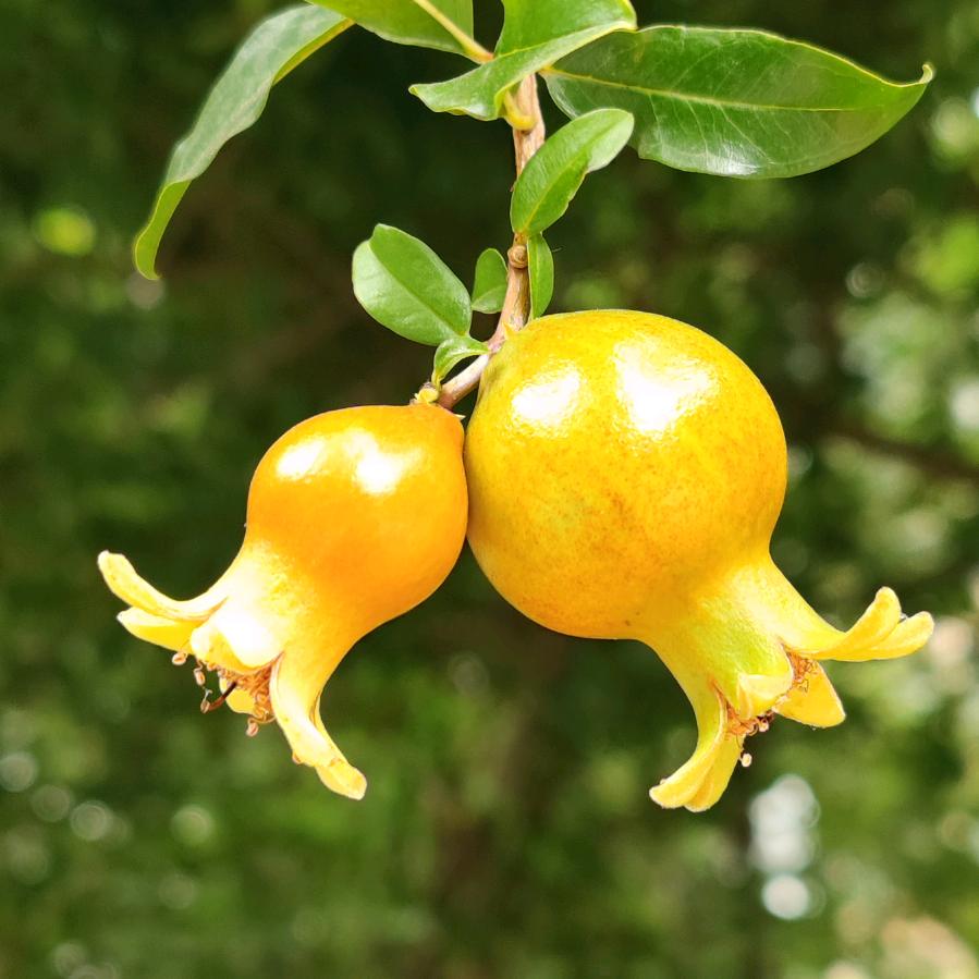 姣爱   郭好此生( ﹡ˆoˆ﹡ )