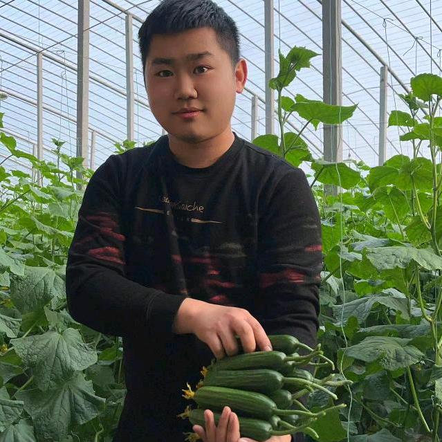 励志文浩植保服务