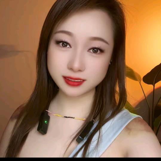木子有肉