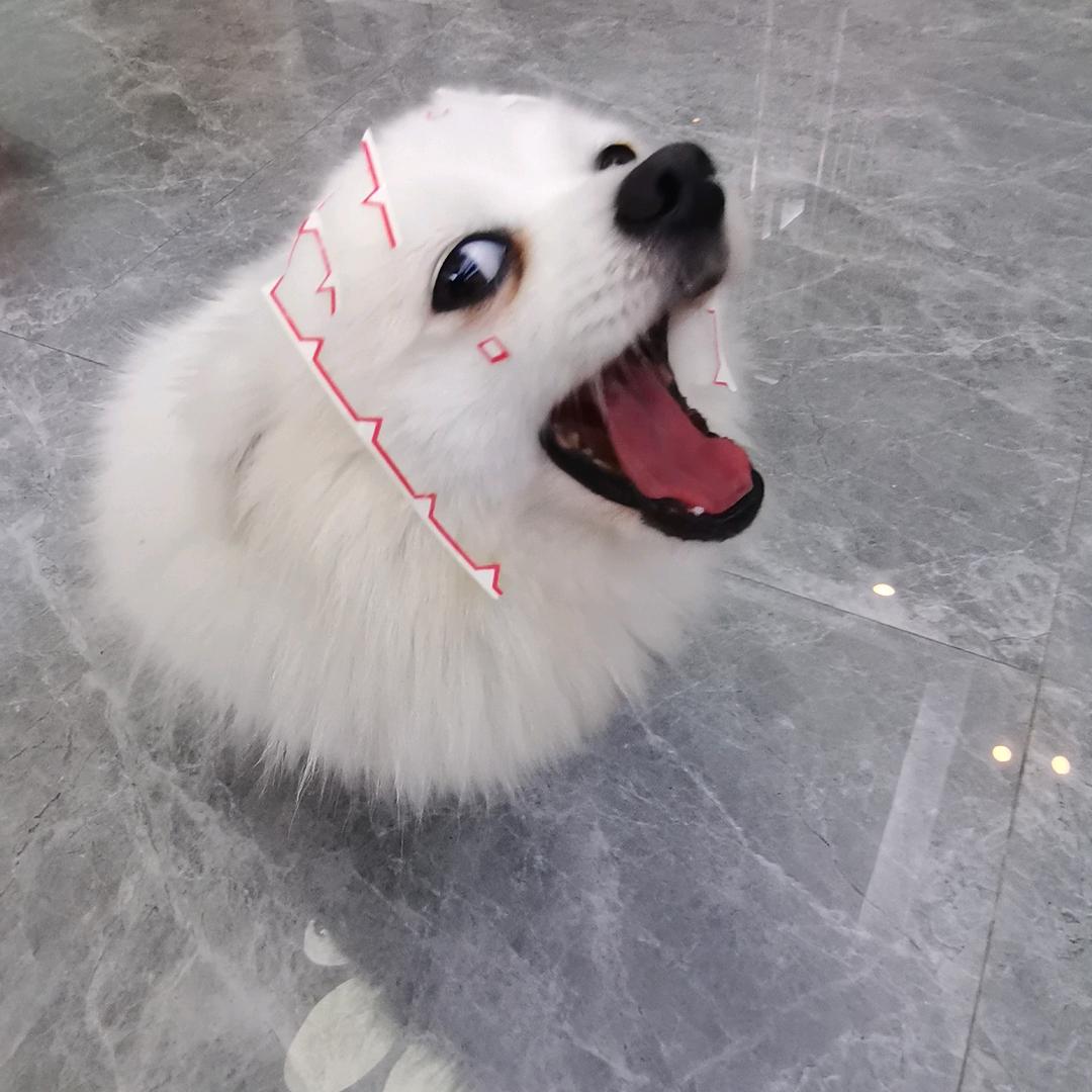 年年有风，风吹年年，慢慢即漫漫。