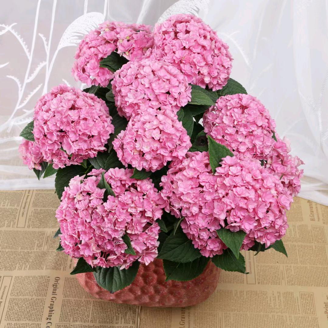 用户美好的明天