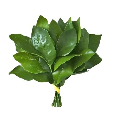 傻子才会跟我读这个名字