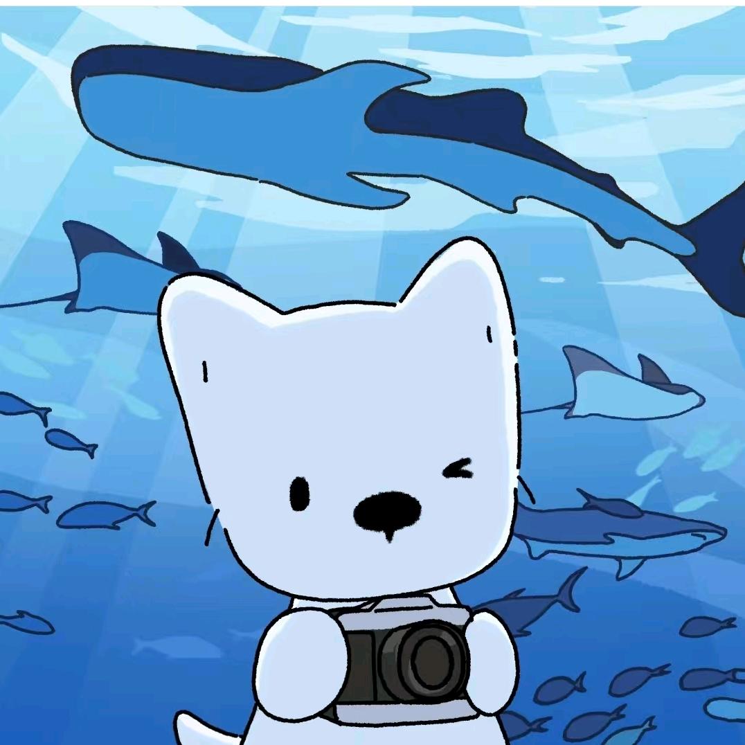 白滴
