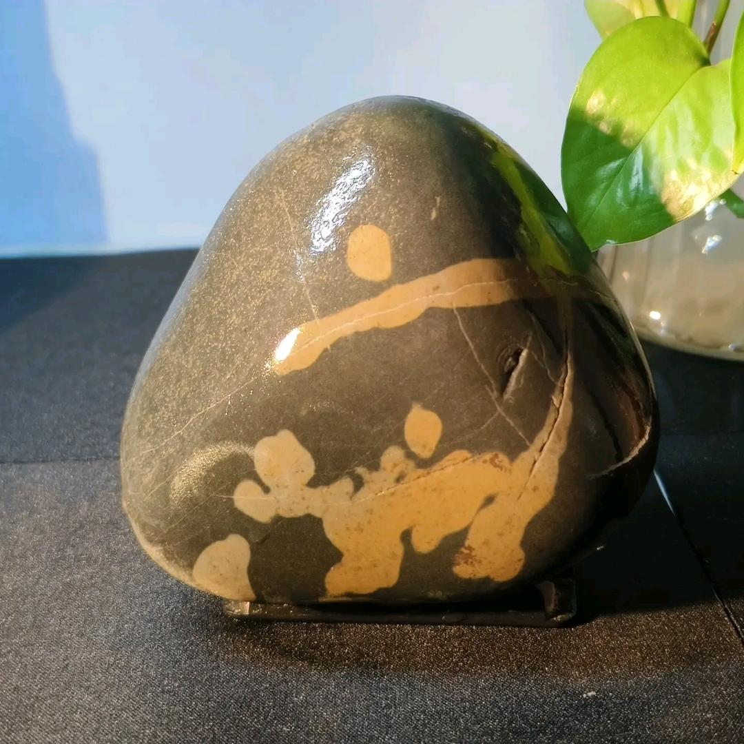 小蚂蚁搬石头
