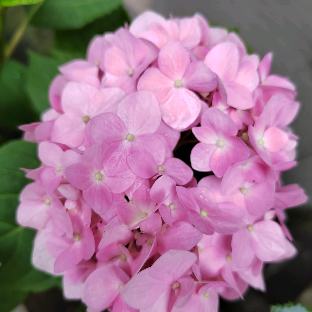 🌈🌈🌈喜从天降🌈🌈🌈