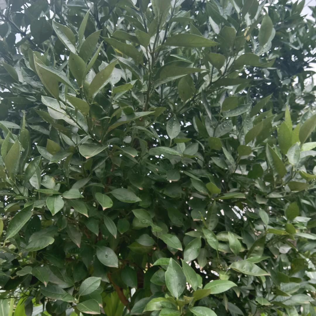 用户2231298885775