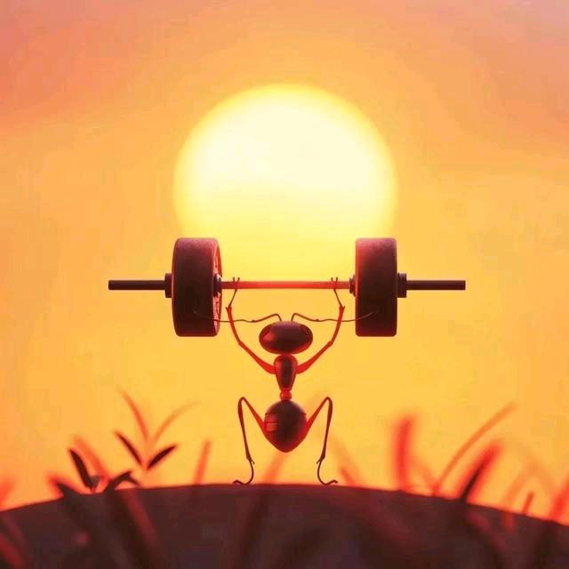 大兴爱琳娜～小助理