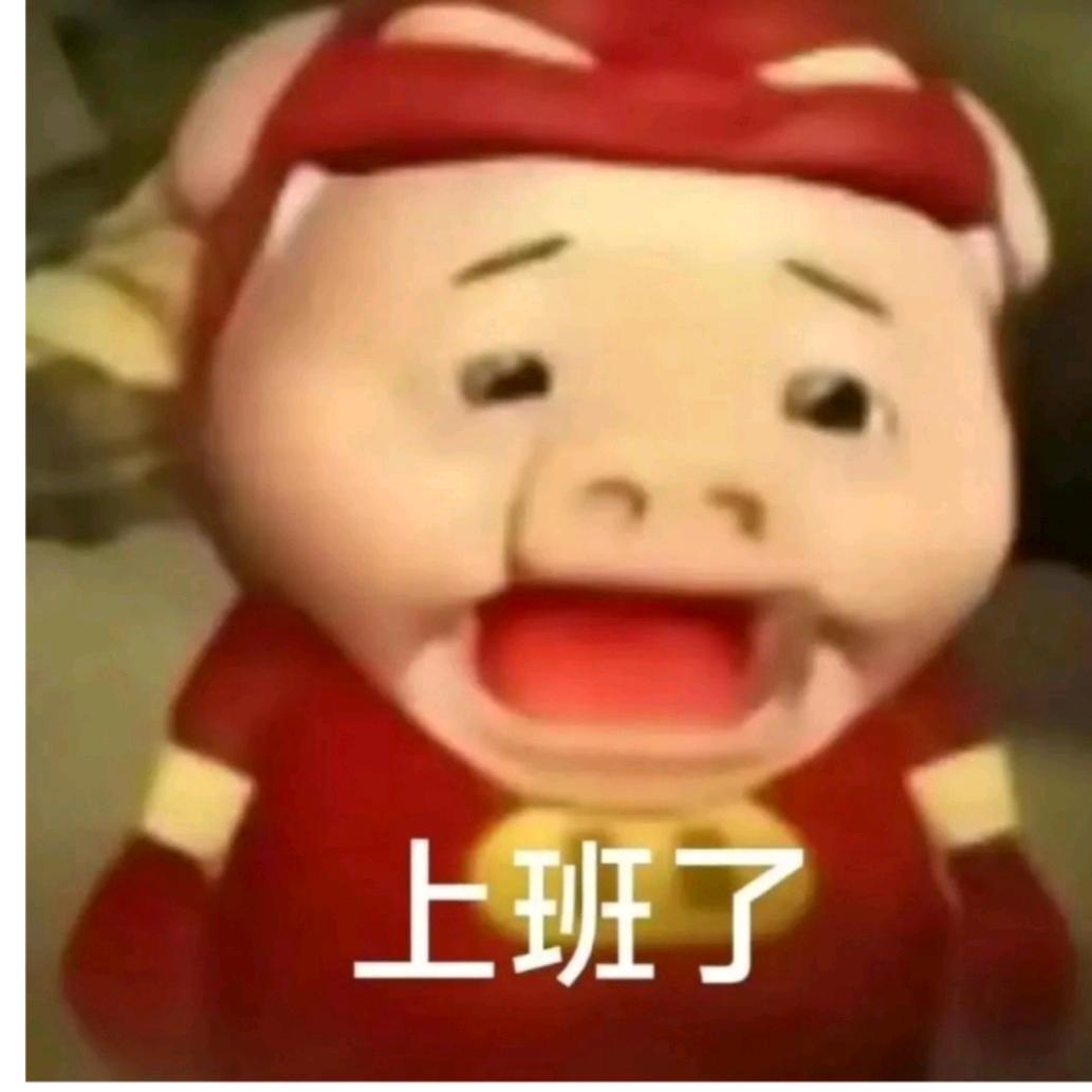 猪🐷猪🐷