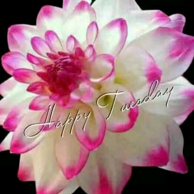 👁我是兰兰👁