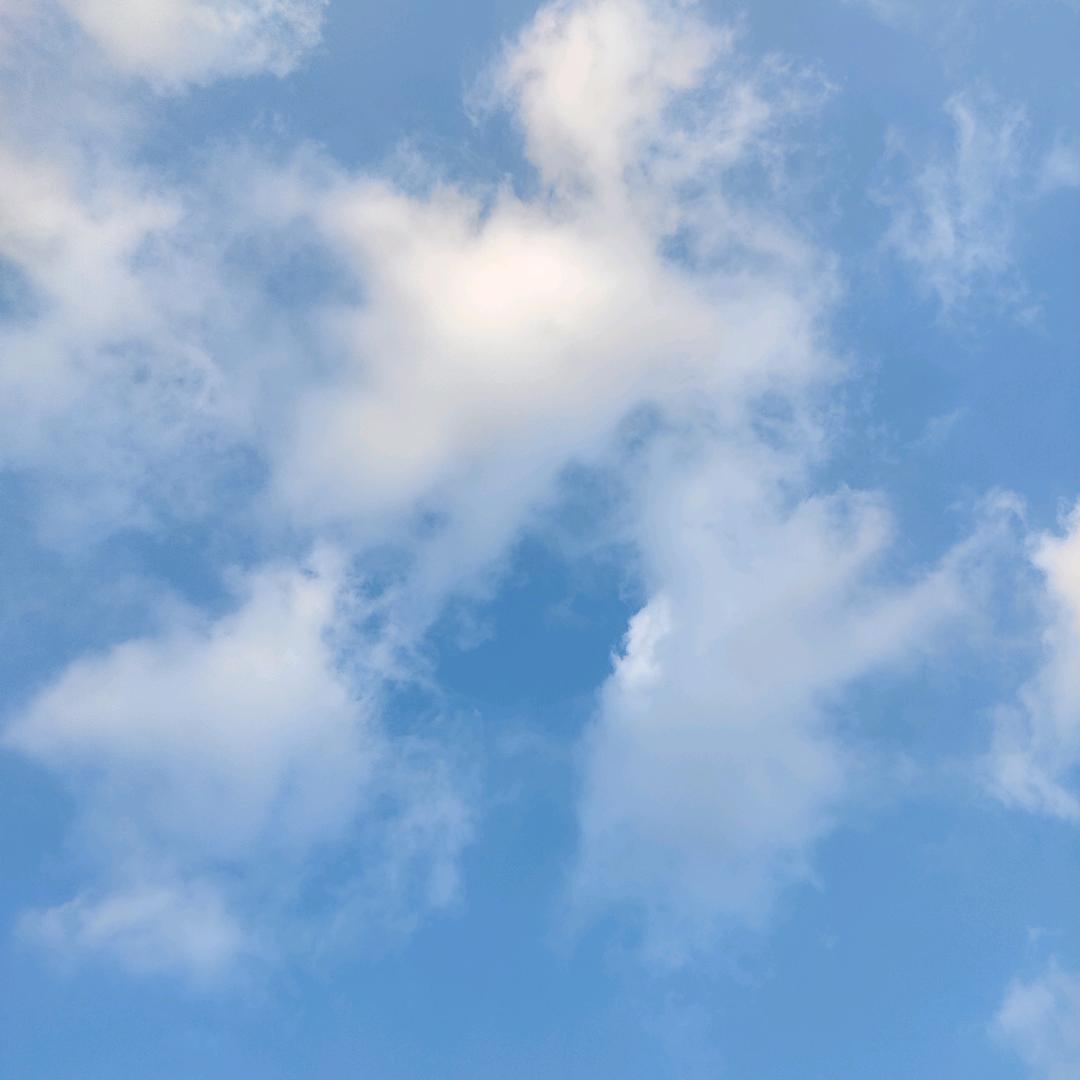 Cc阳光普照