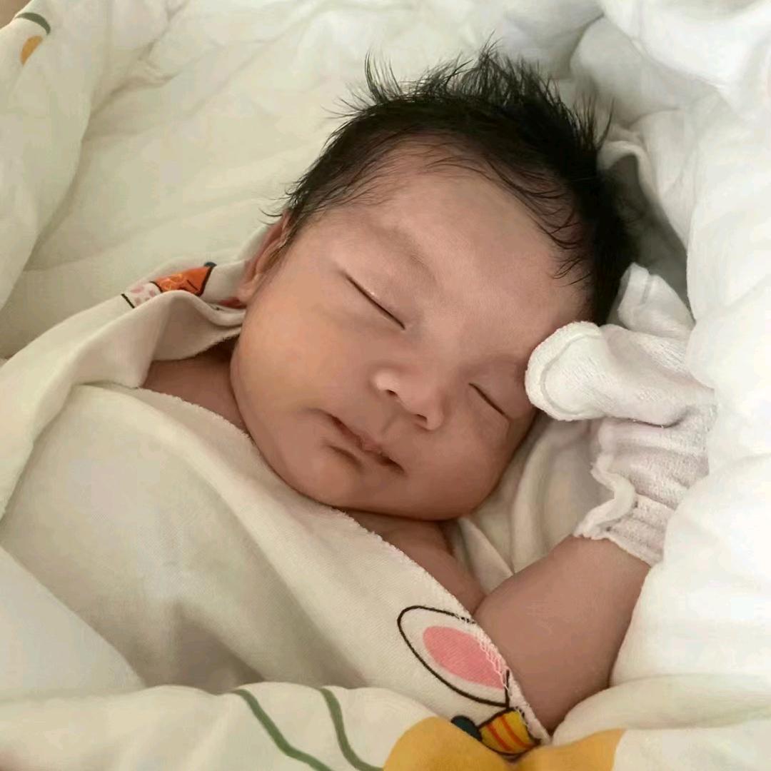 敦敦成长记🐰