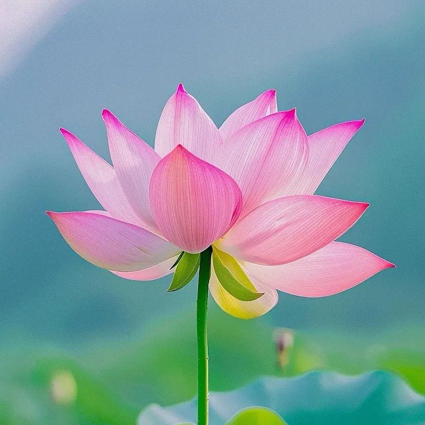 成都体育学院小张同学