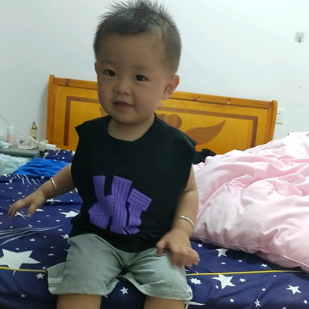 李的菜
