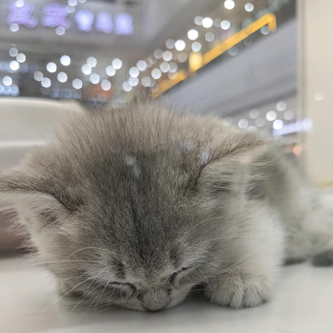 欧烨
