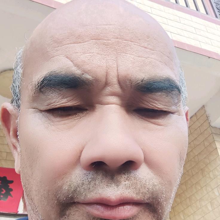 松栢长青，劉遠華