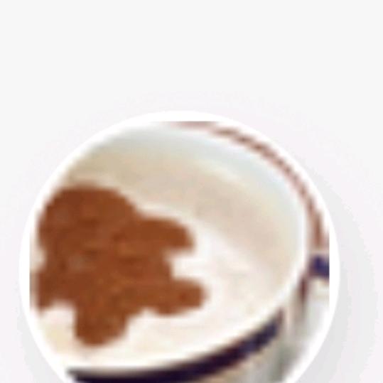 淡然优雅