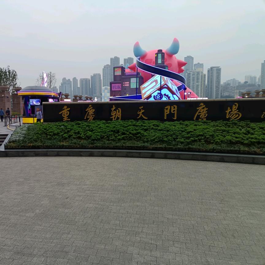 沙漠骆驼