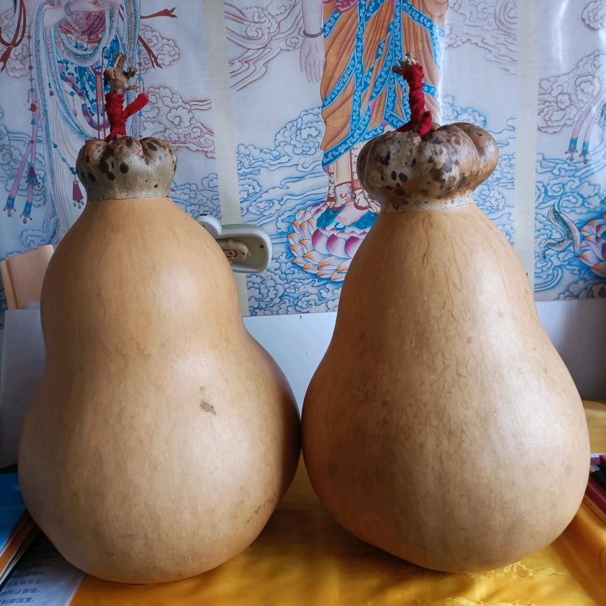 在家居士