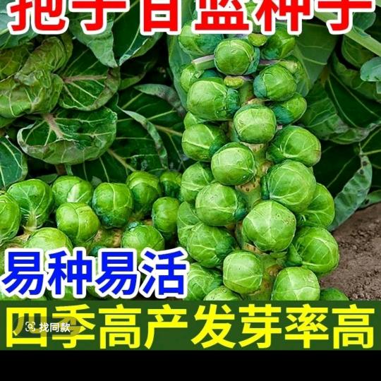 快乐！