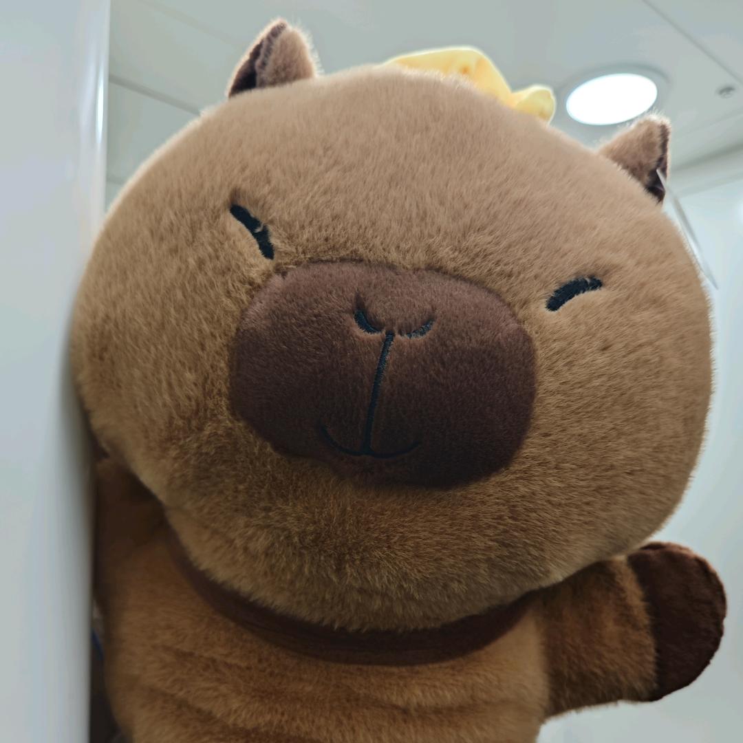 美好生活
