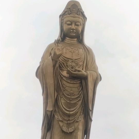 度我不渡他【发号无尘】