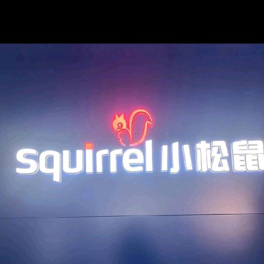 小松鼠壁挂炉