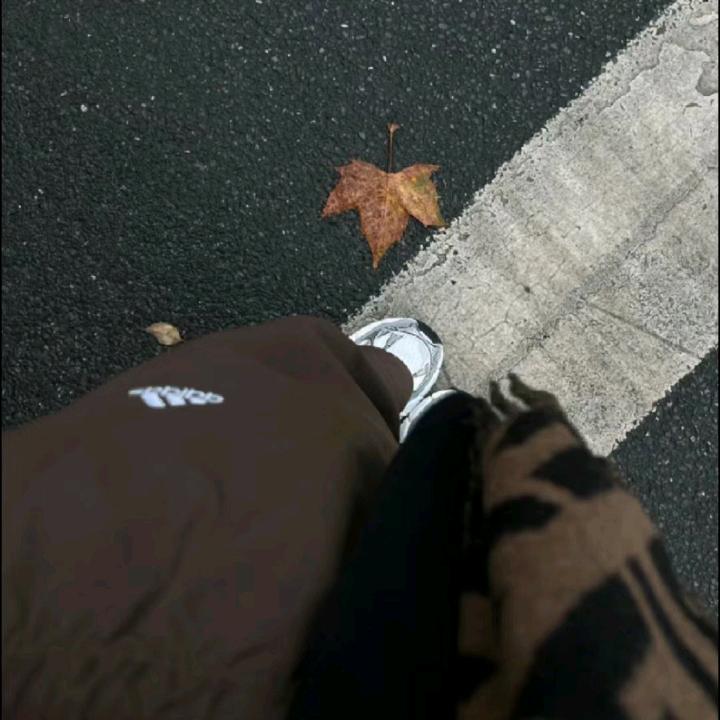 绿绿绿