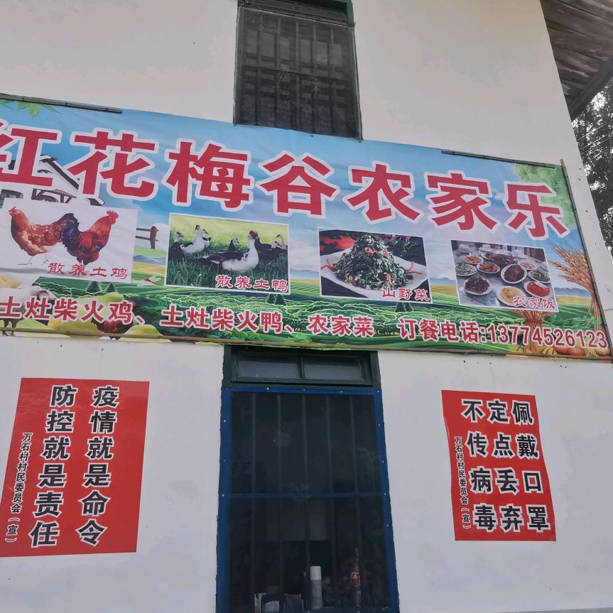 万石红花梅谷农家乐