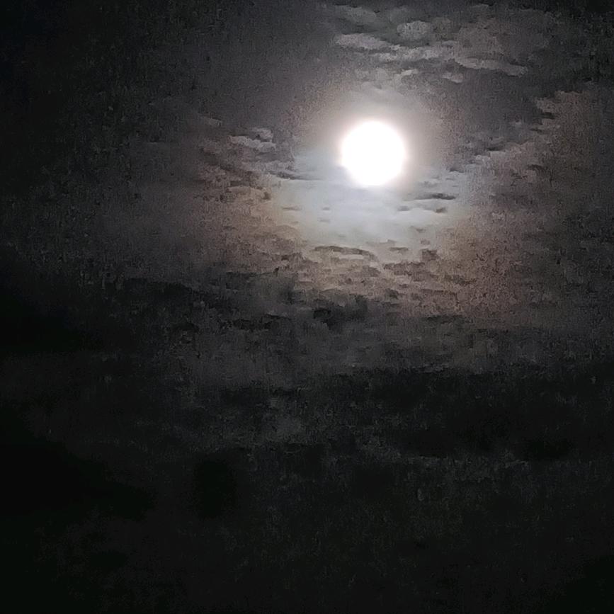 小 海