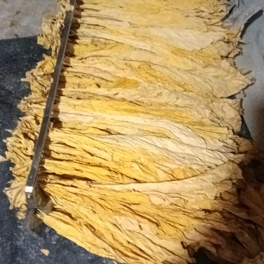巴东魁哥