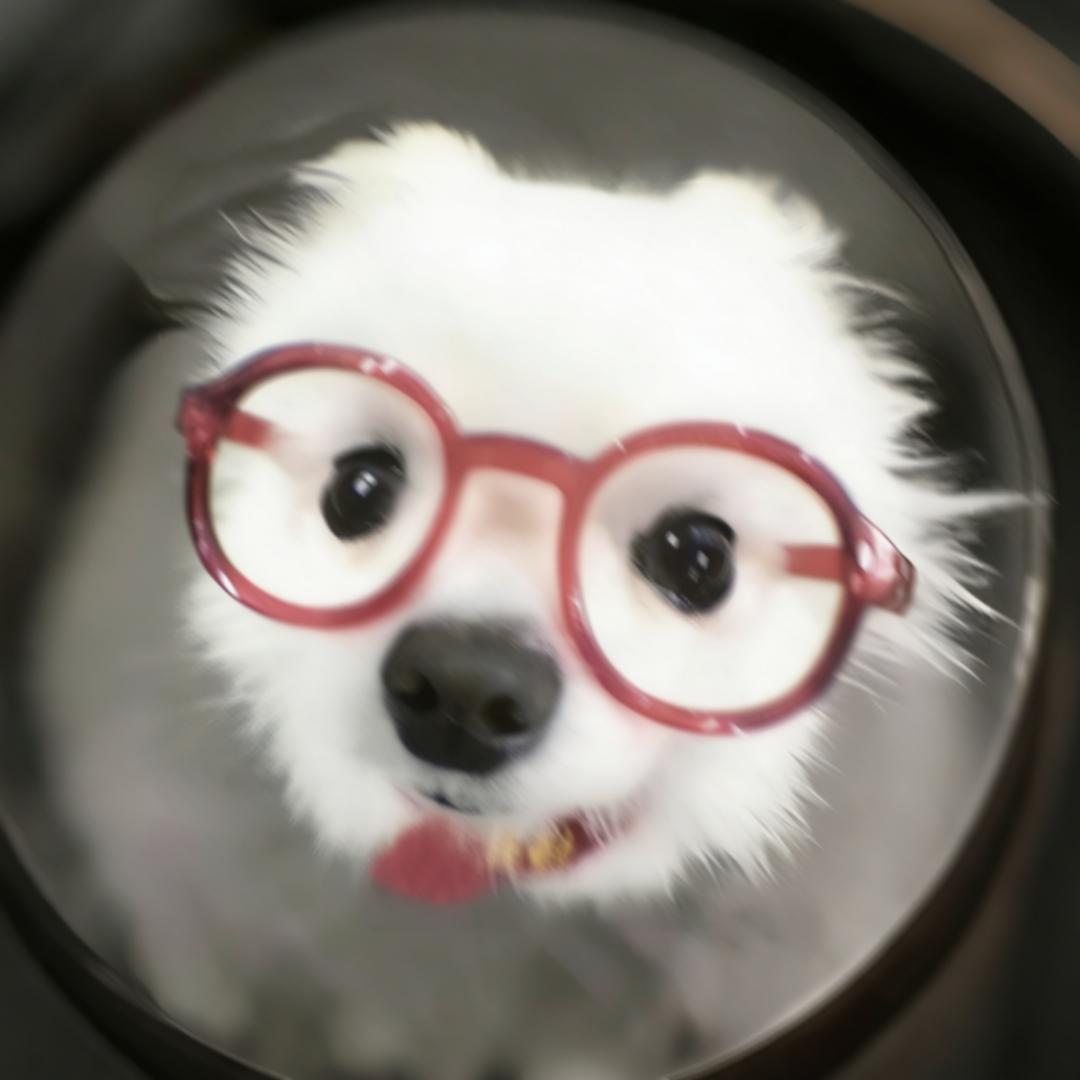 小瓷