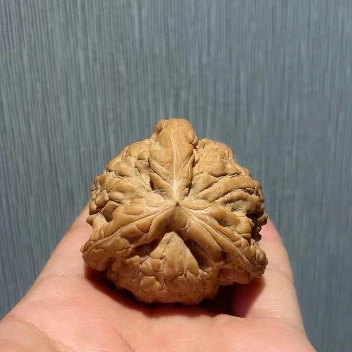 握草 异形单只