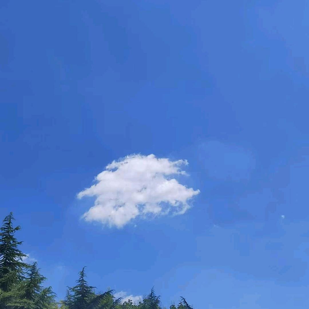 乐山