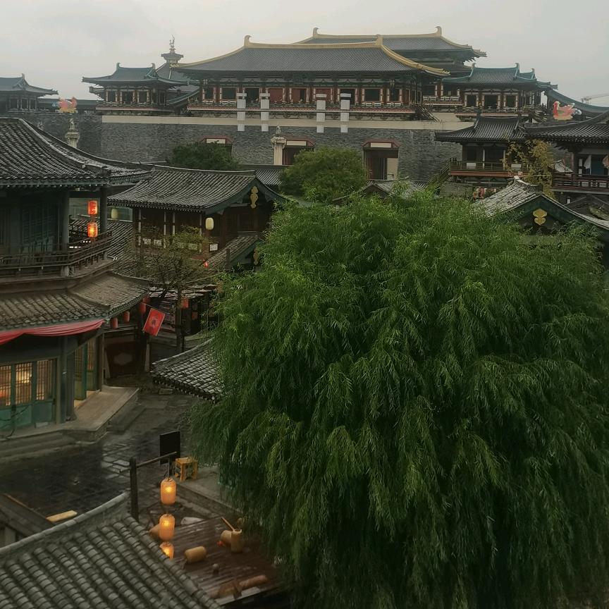 彩丽店长实体店