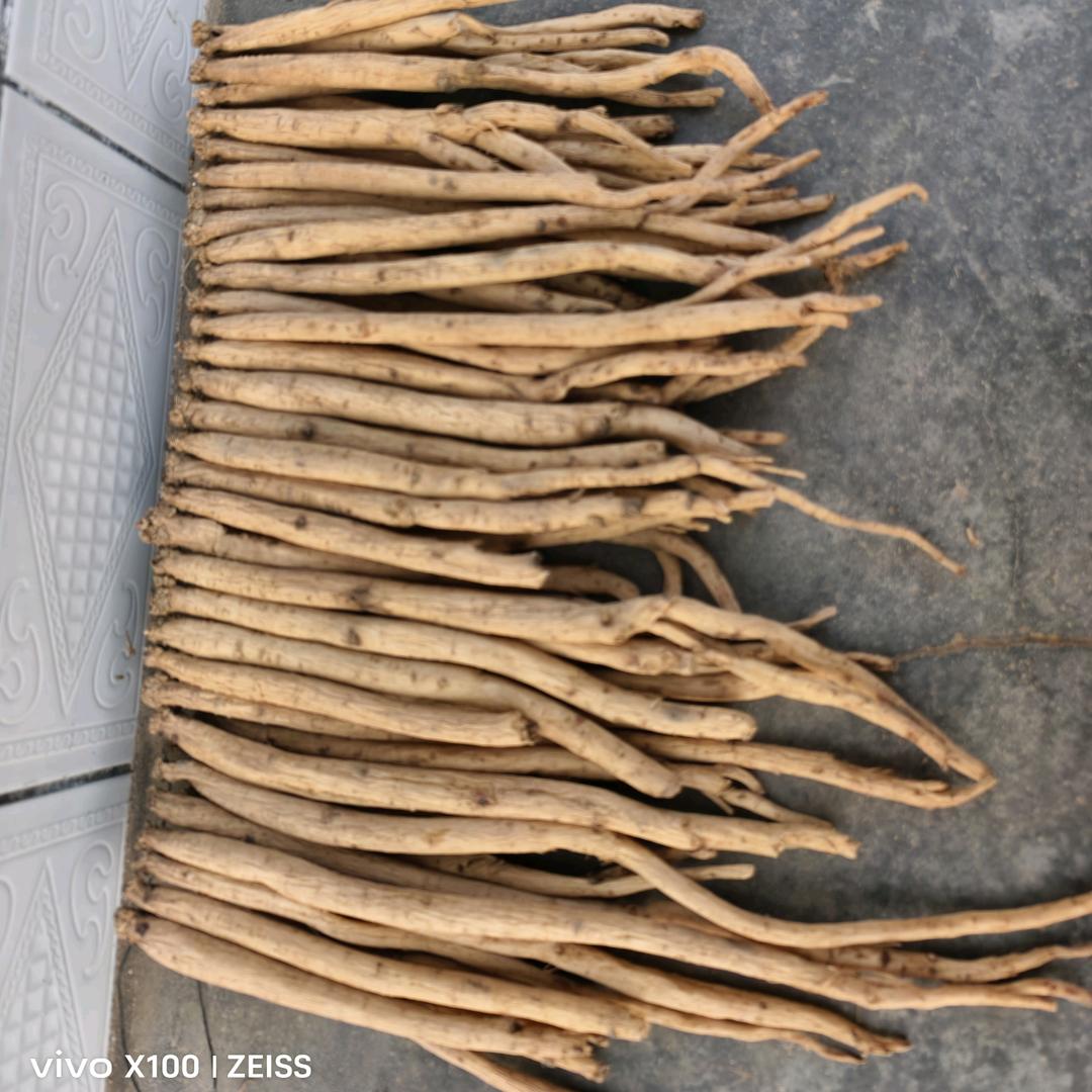 ╰阿龙✔