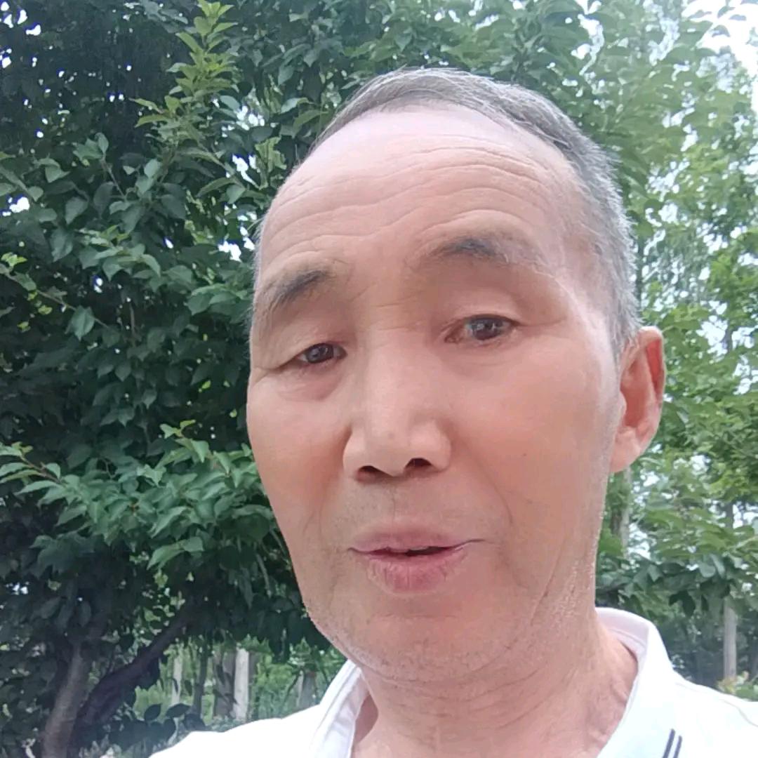 老陈陈陈