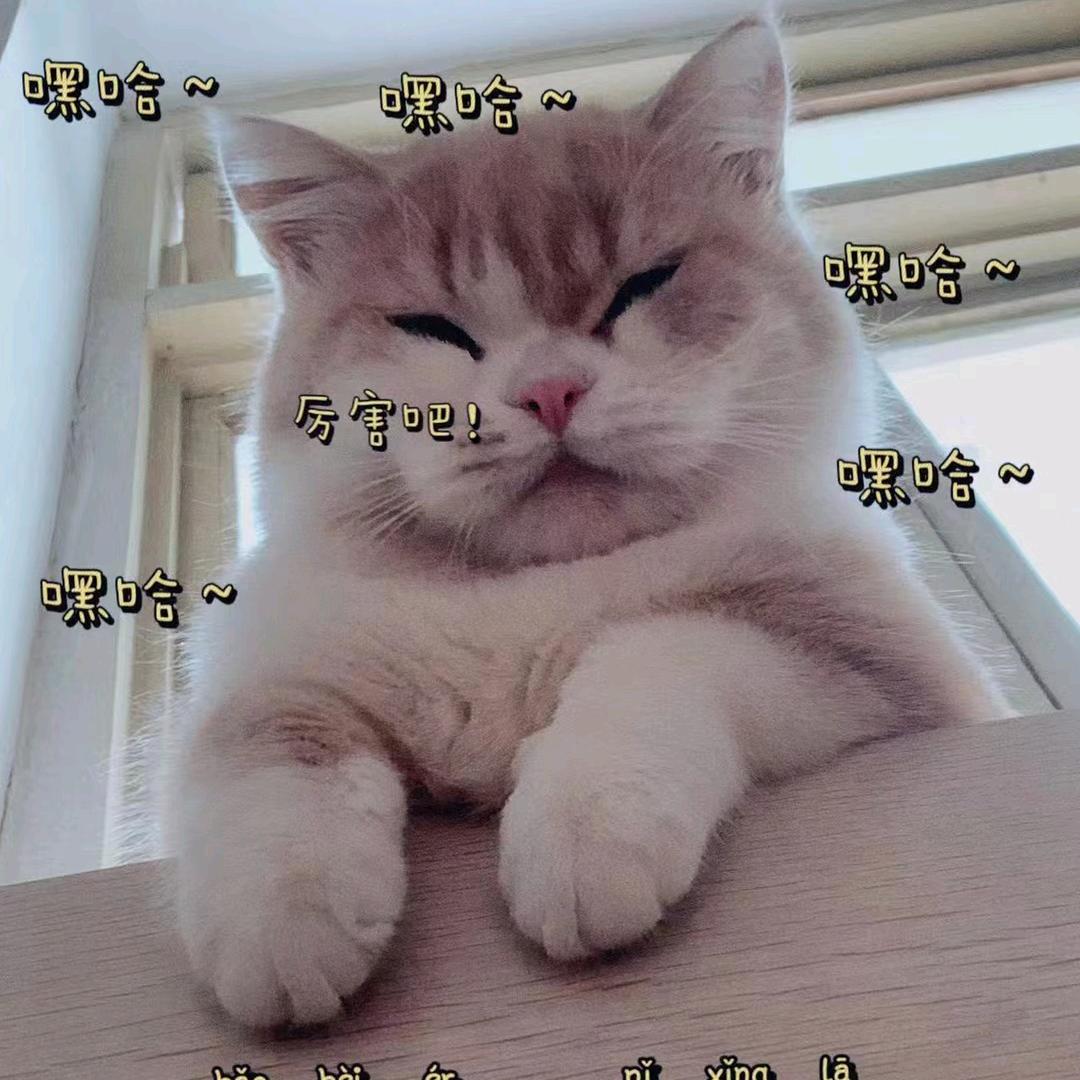 否.