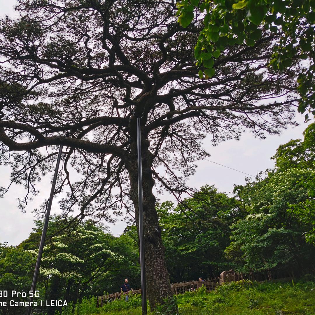 重生之我在抖音做电商
