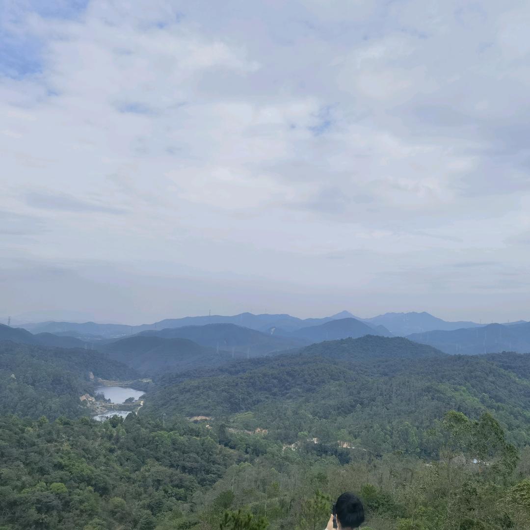逆风