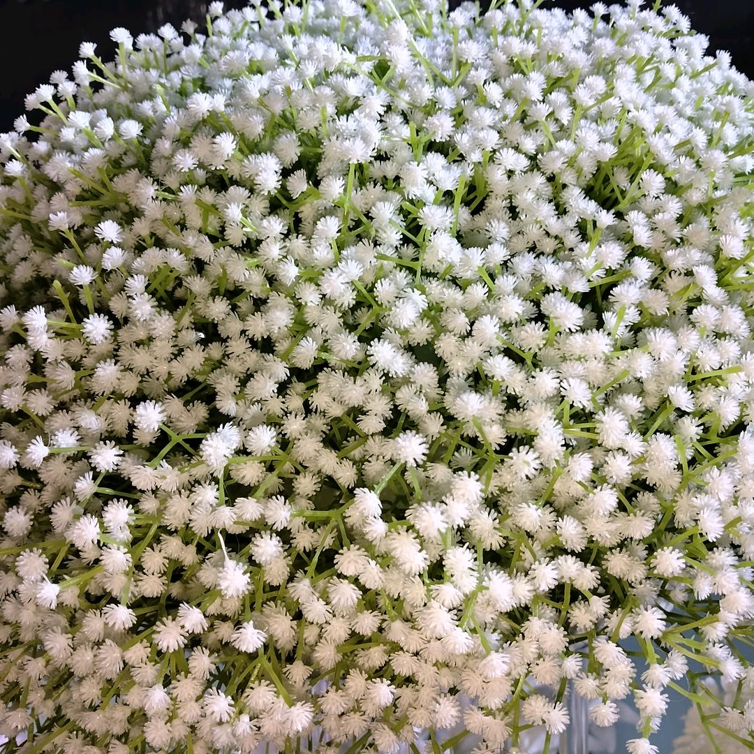 夕阳无限好，只是近黄昏