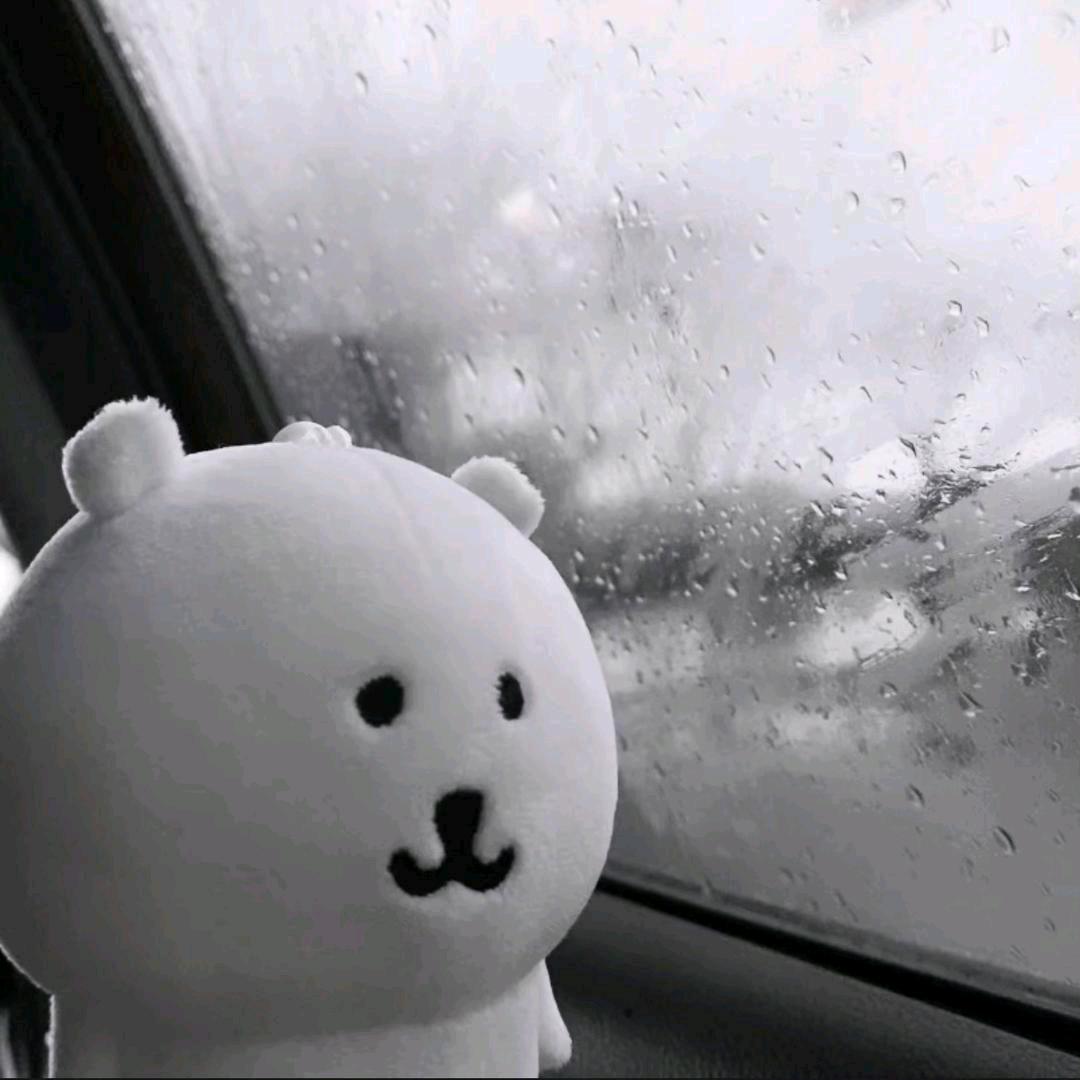 我比影子更爱你🐰