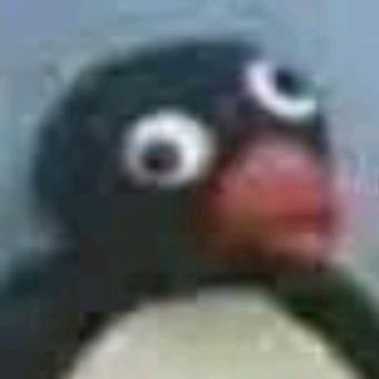 哈基龟🐢