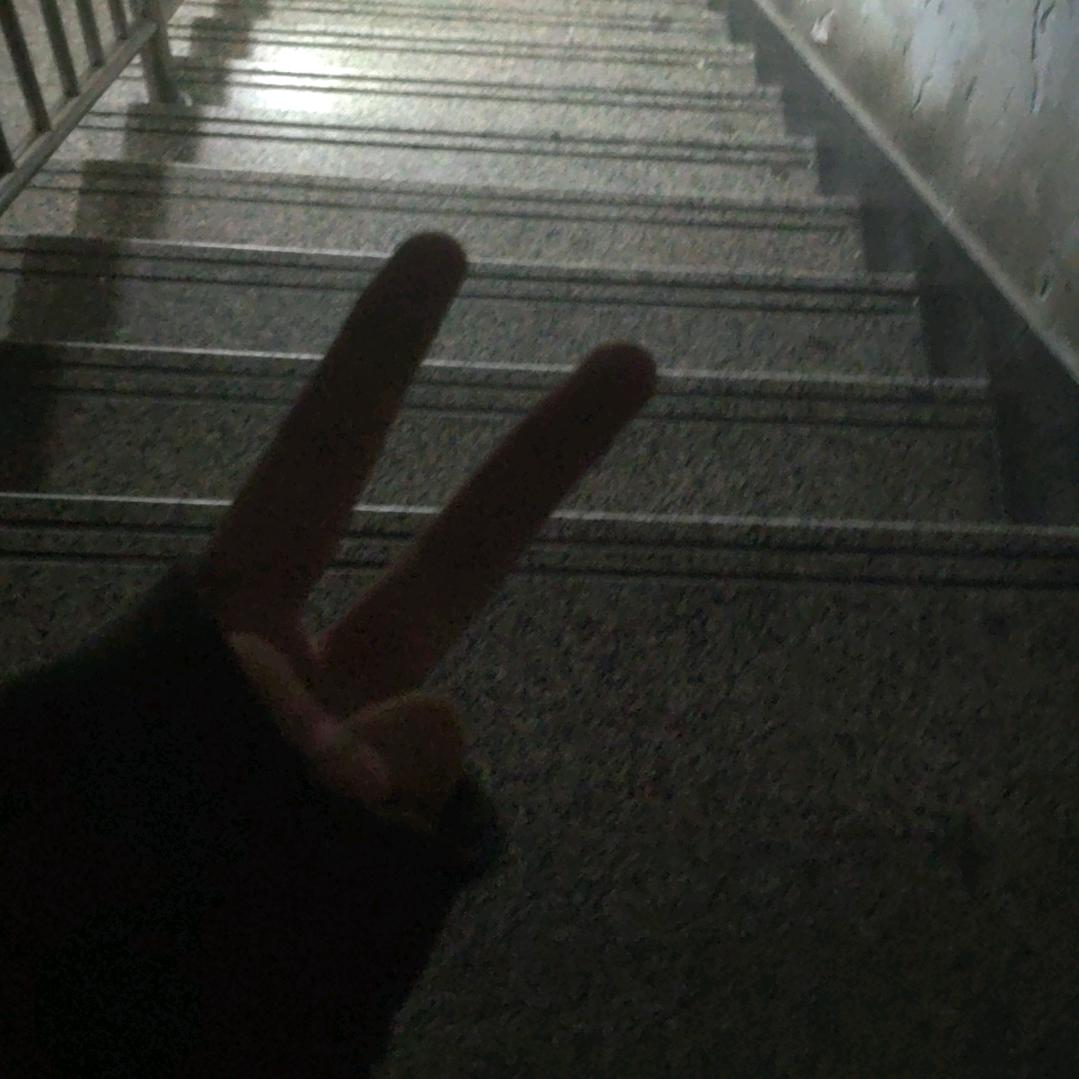 欣宝