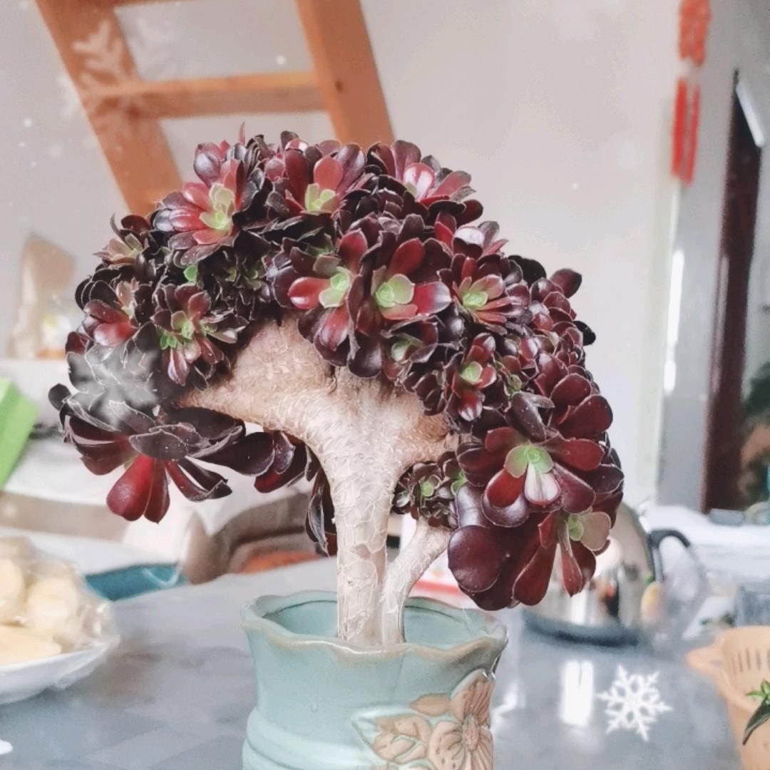 一碗人间^O^烟火