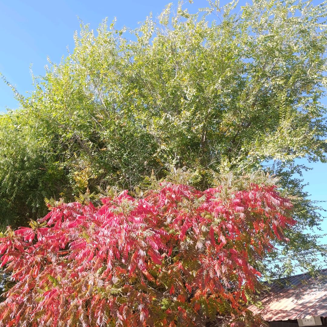 এ劫后余生དྷ༗࿐