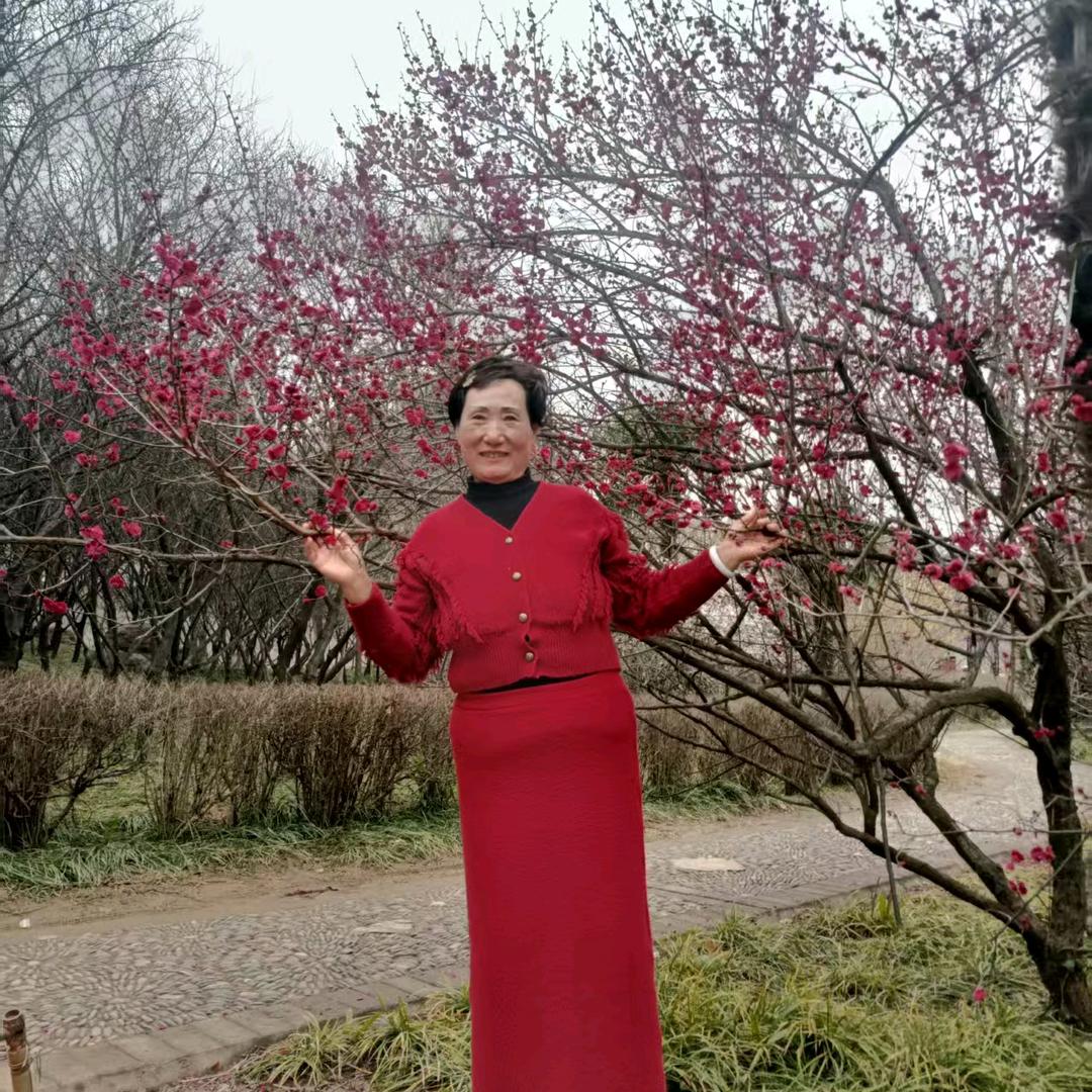 桂花香，上午十点开播