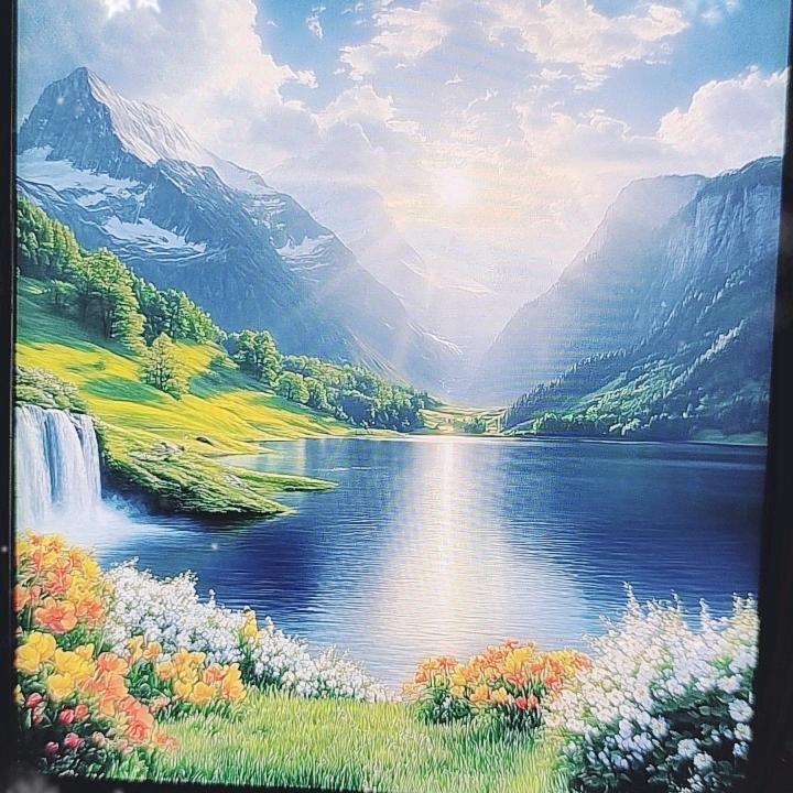 繁花🌹似锦🌺