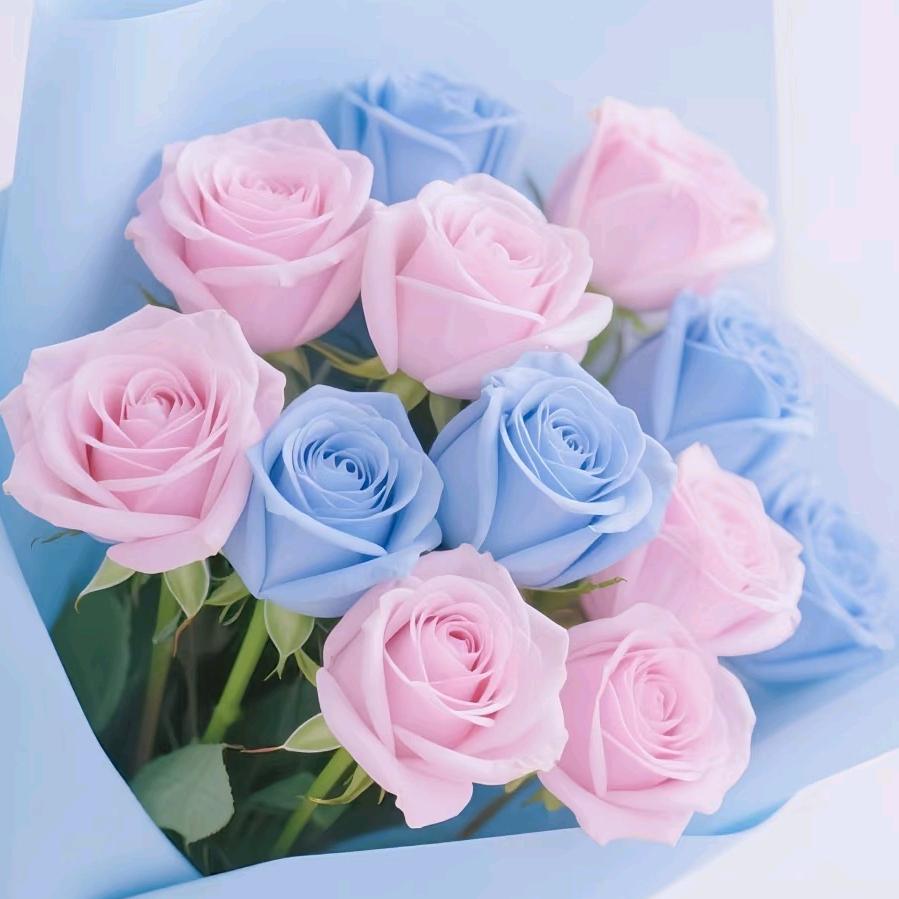 不发胖🥂只发💰财