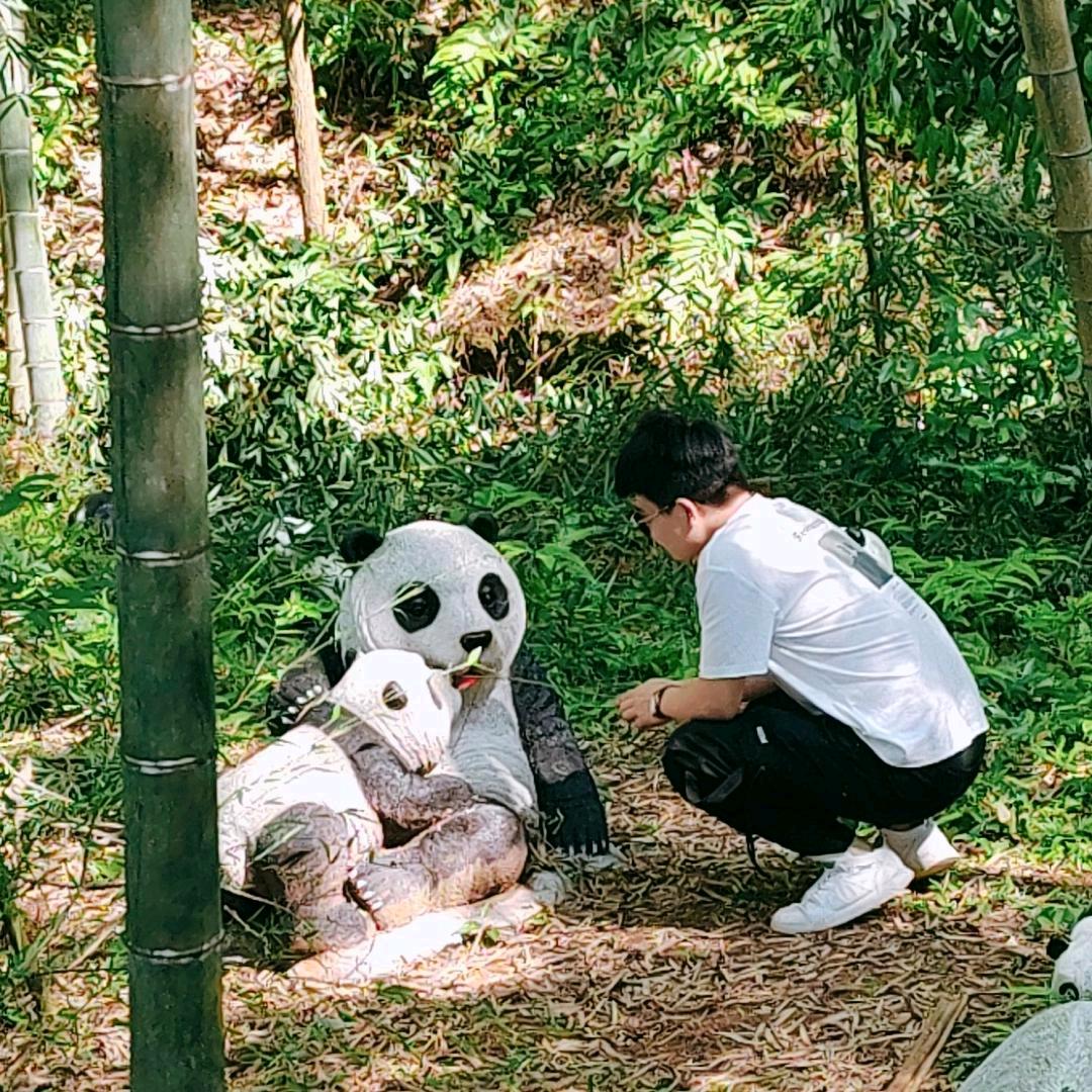 怋慜杂货铺爆爆